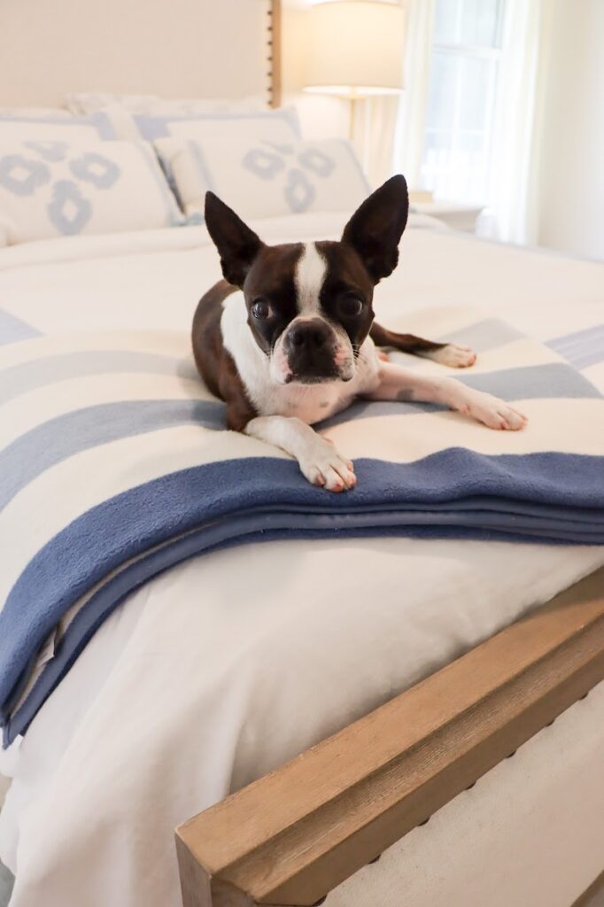 Master Bedroom Bedding Refresh   5 682x1024 